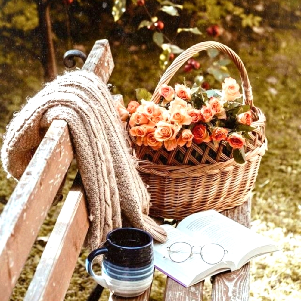 Meet your Posher, Tammy